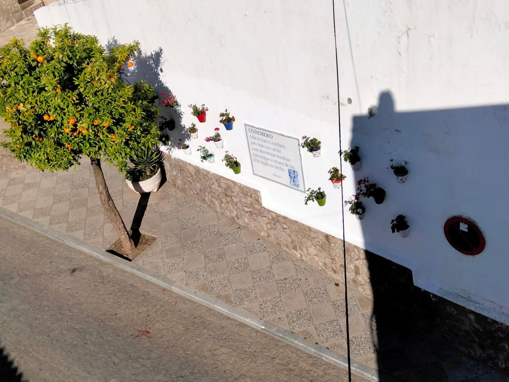 Casa Vista Villa Alcala de los Gazules Luaran gambar